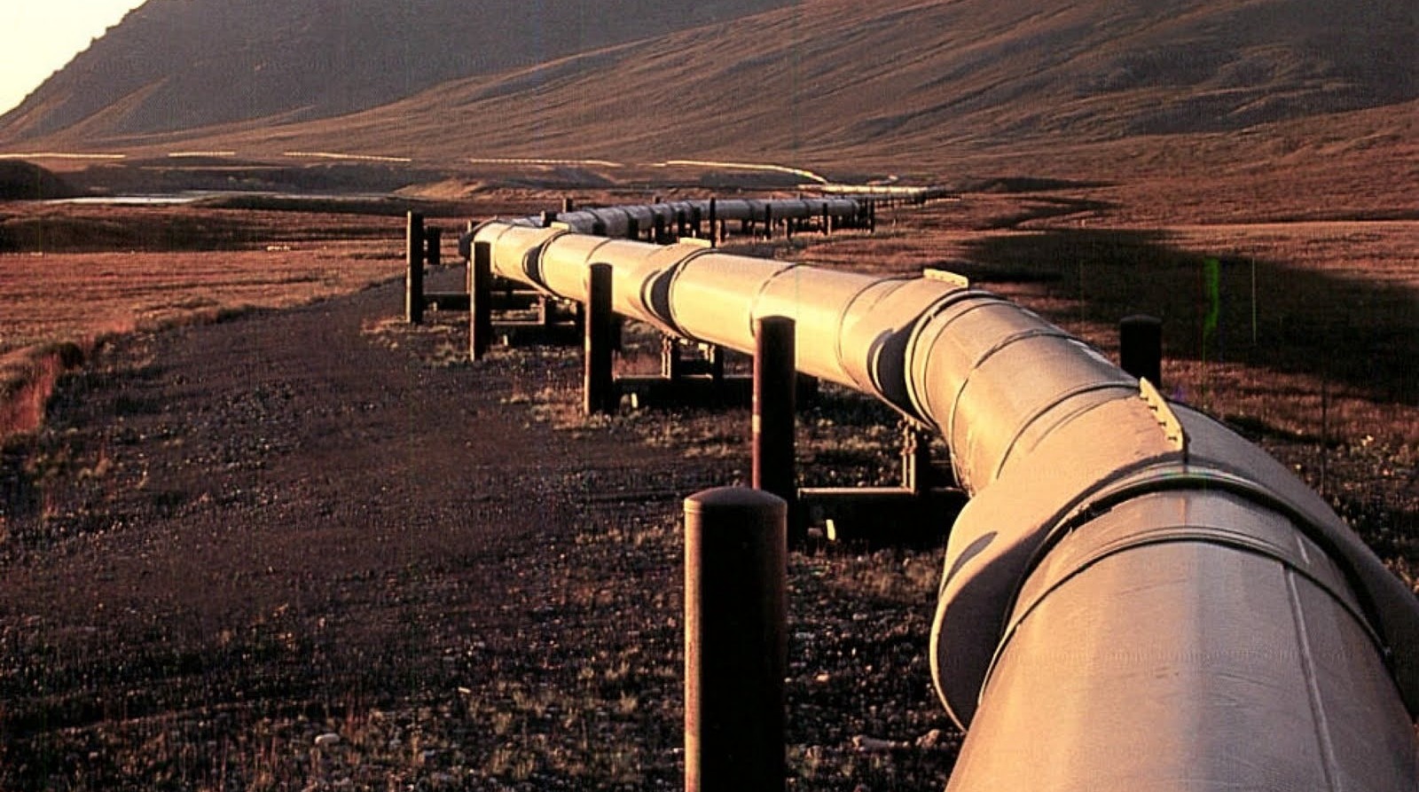 East African Crude Oil Pipeline Projecthas rallied the real estate industry's spirits; The number of local housing units occupied by oil and gas industry players increased from 40 last year to 200 by the end of March 2021.