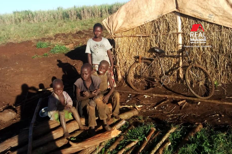 A family at their makeshift shelter in July 2022 following the controversial sale of land they occupied in Nyamutende Village, Kiryandongo District.
