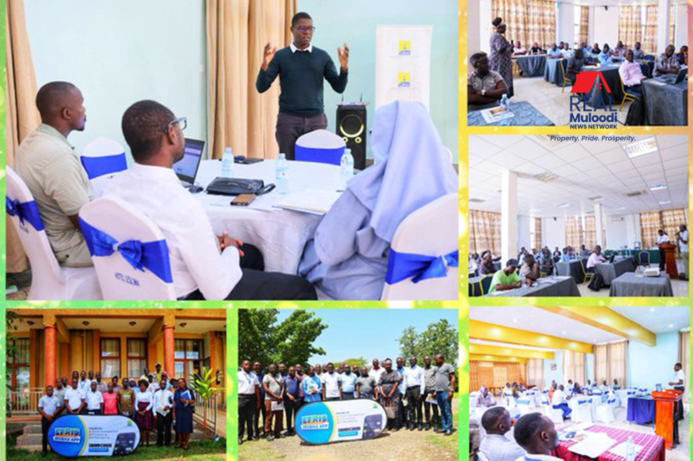 Rental Tax Compliance